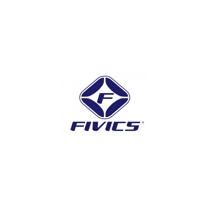 FIVICS PALETTE TENFIX