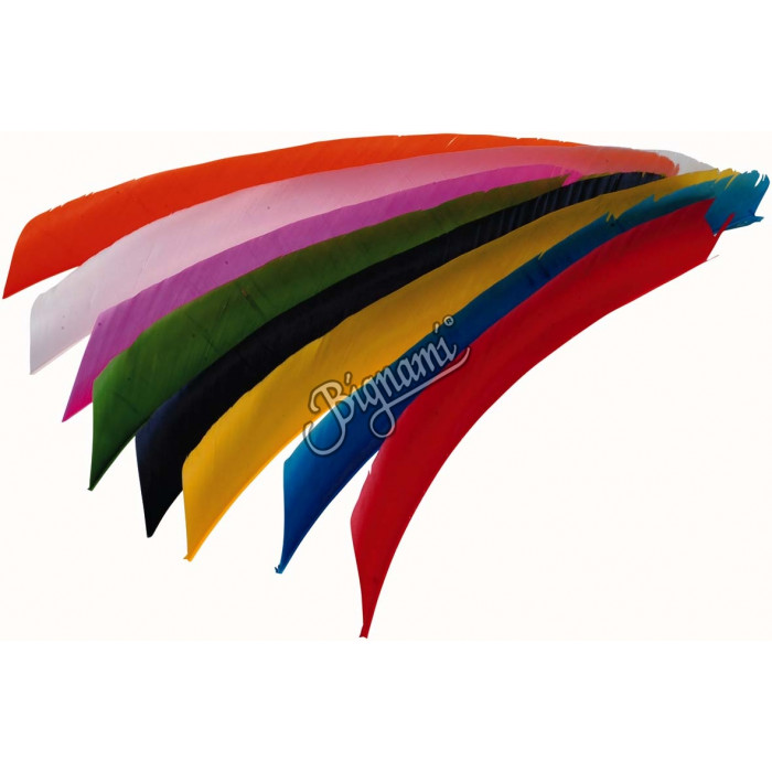 TRUEFLIGHT NAT.FEATHERS FL 100P TRUEFLIGHT NAT.FEATHERS FL 100P