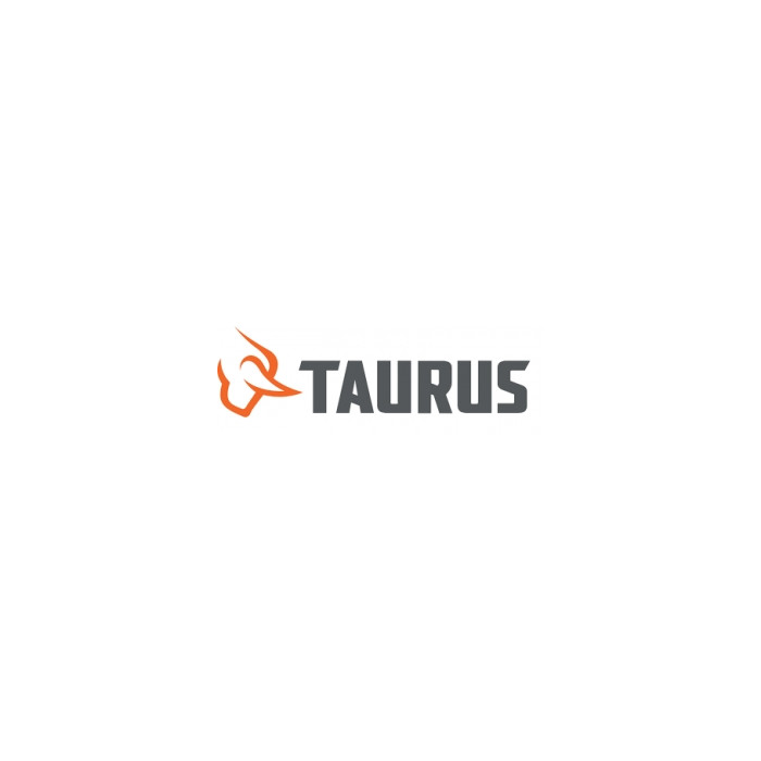 TAURUS 94 .22LR 4" STAINLESS STEEL