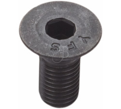 BOOSTER SCREW 5/16-24 3/4" FLAT SOCKET