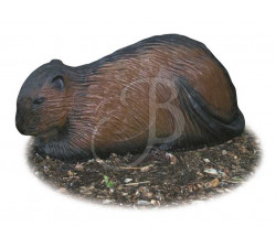 A.A. 3D TARGET BLACK COYPU