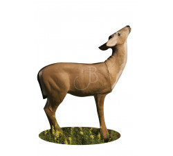 A.A. 3D TIER DEER AESEND