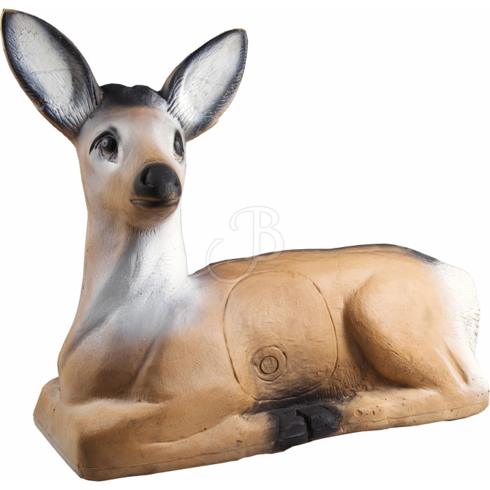 A.A. 3D TARGET ROEBUCK