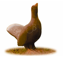 A.A. 3D TARGET WOODGROUSE