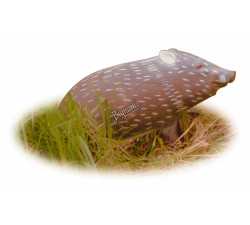 A.A. 3D TARGET JAVELINA