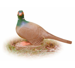 A.A. 3D TARGET PHEASANT