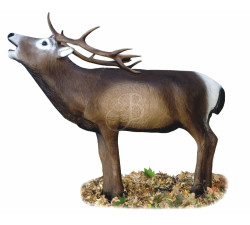 A.A. 3D TARGET RED DEER