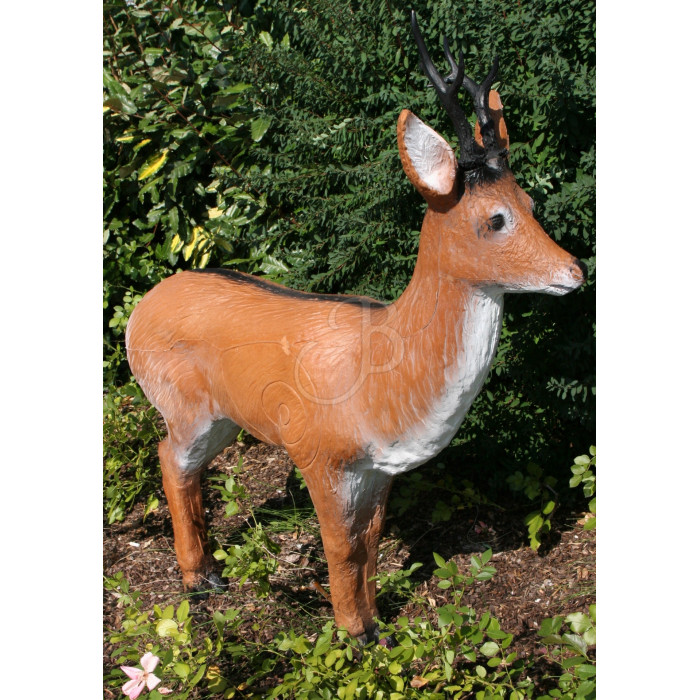 A.A. 3D TARGET ROEBUCK ALERT A.A. 3D TARGET ROEBUCK ALERT