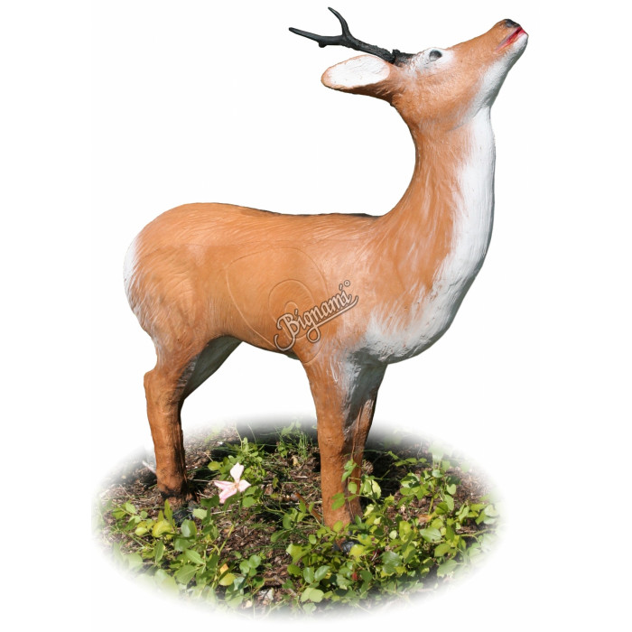 A.A. 3D TARGET GRAZING ROEBUCK A.A. 3D TARGET GRAZING ROEBUCK