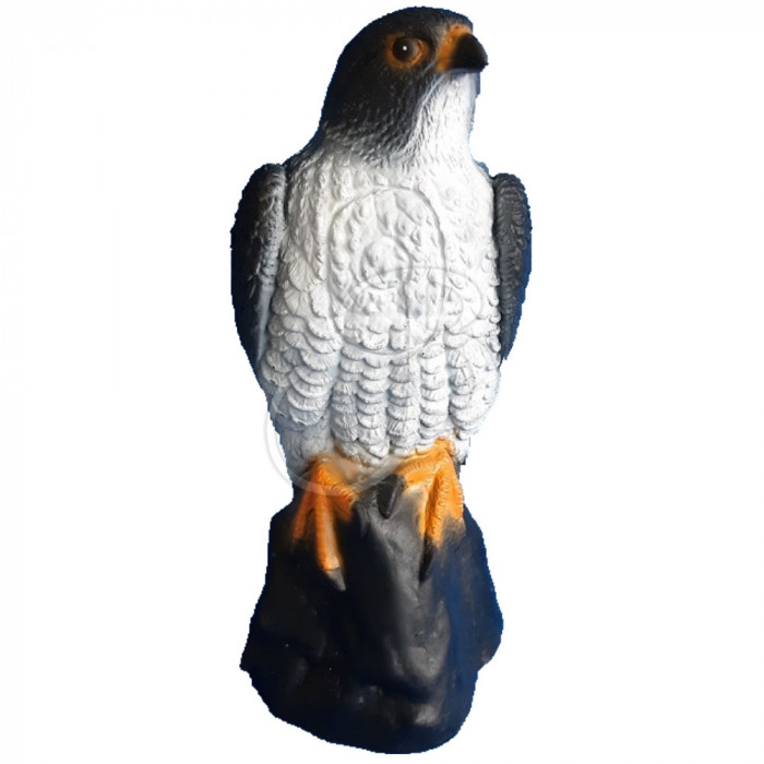 C.POINT SAGOMA 3D FALCO C.POINT SAGOMA 3D FALCO