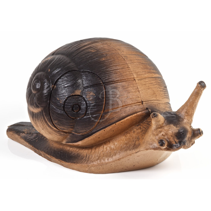 A.A. 3D TARGET SNAIL