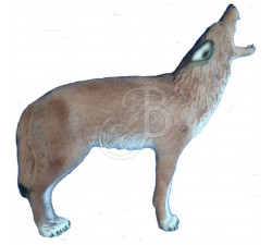 C.POINT SAGOMA 3D COYOTE