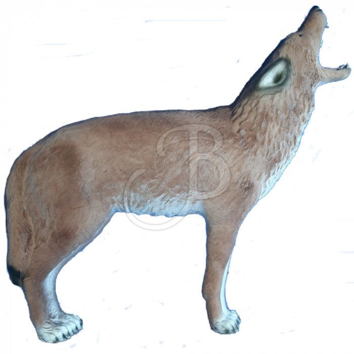 C.POINT SAGOMA 3D COYOTE C.POINT SAGOMA 3D COYOTE