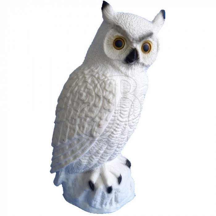 C. POINT 3D TIER SCNHEEULE C. POINT 3D TIER SCNHEEULE