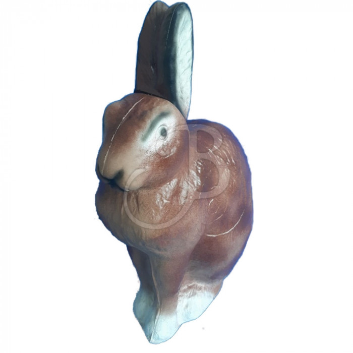 C. POINT CIBLE 3D LIEVRE C. POINT CIBLE 3D LIEVRE
