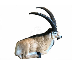 A.A. 3D TARGET IBEX