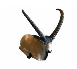 A.A. 3D TARGET IBEX