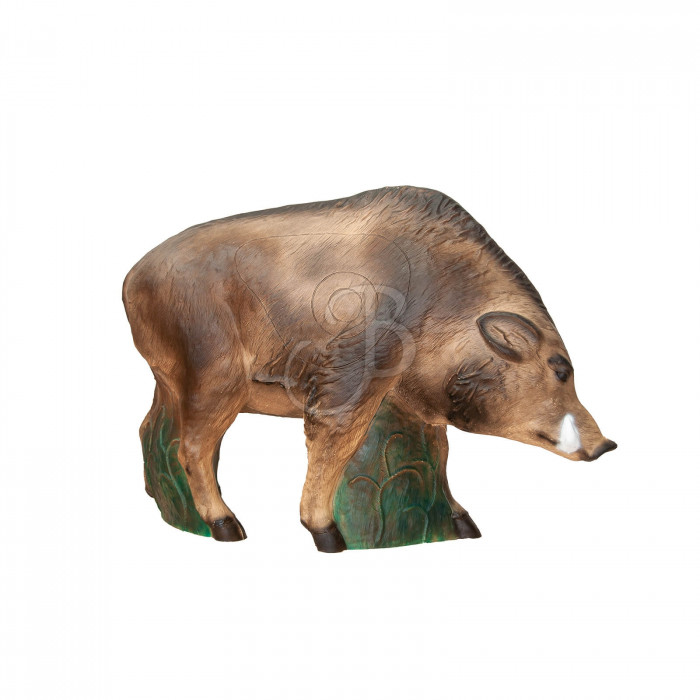 C. POINT 3D TARGET LARGE WILDBOAR C. POINT 3D TARGET LARGE WILDBOAR