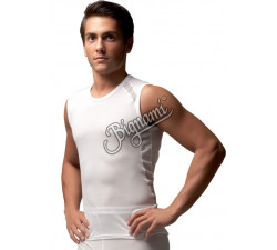 STABILITY SINGLET