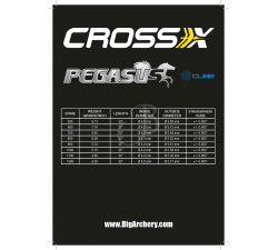 CROSS-X SHAFT PEGASUS CUBE+CREST