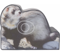 BOOSTER MFT 2D FURET PHOTO        17MM