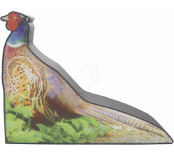 BOOSTER MFT 2D PHEASANT PHOTO     17MM