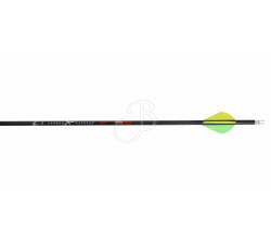 CARBON EXPRESS ARROW TERMINATOR PTX