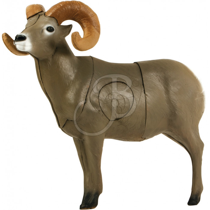 DELTA MC KENZIE 3D BIGHORN SHEEP