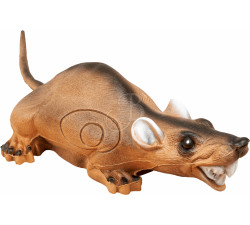C. POINT CIBLE 3D RAT