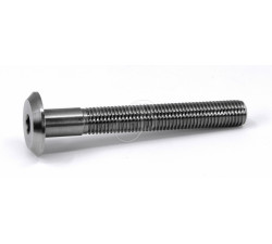 BEITER V-BOX FRONT SCREW5/16"-24x61mm