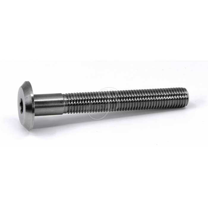 BEITER V-BOX FRONT SCREW5/16"-24x61mm