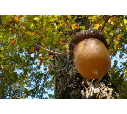 3Di 3D TARGET ACORN