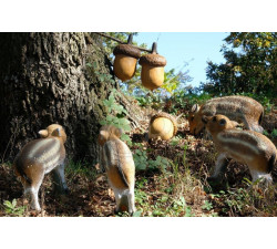 3Di 3D TARGET ACORN