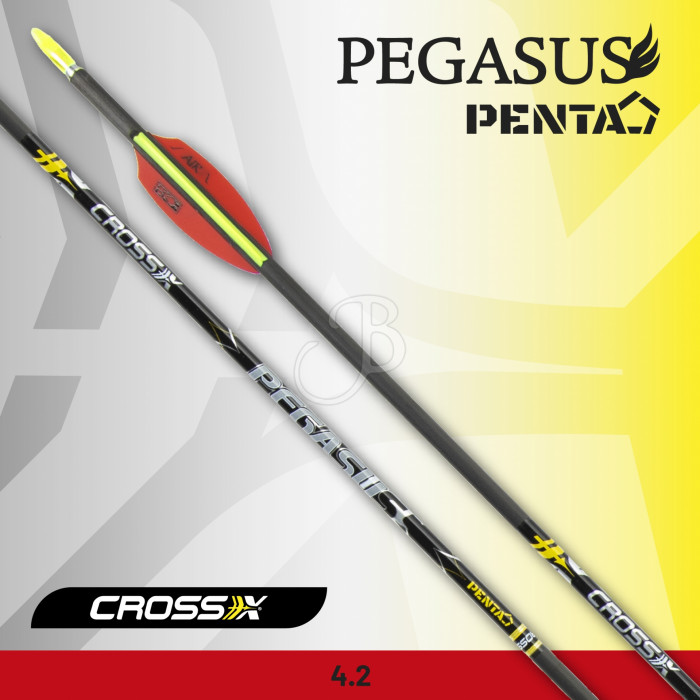 CROSS-X PFEIL PEGASUS PENTA + AIR CROSS-X PFEIL PEGASUS PENTA + AIR