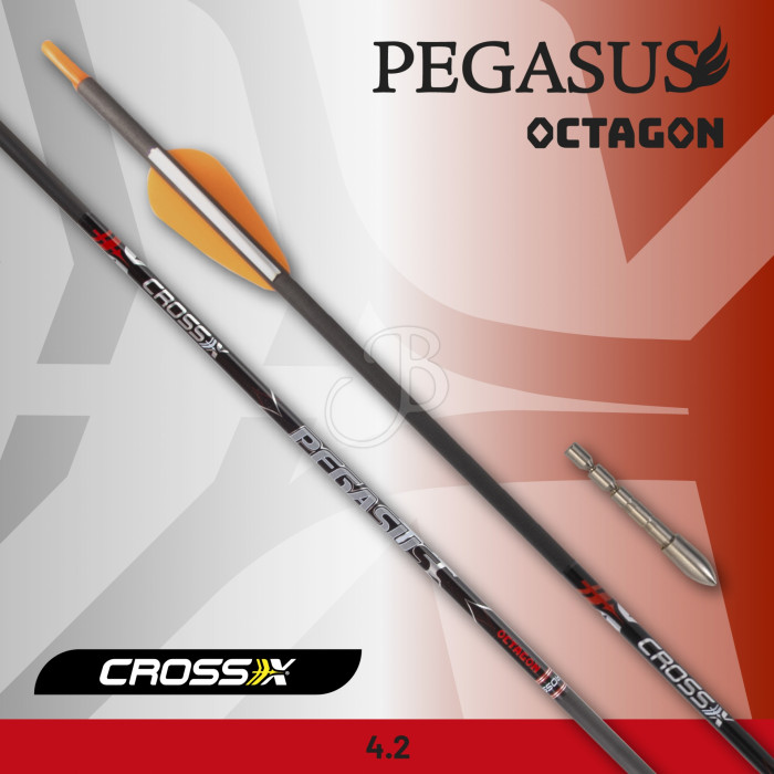 CROSS-X PFEIL PEGASUS OCTAGON CROSS-X PFEIL PEGASUS OCTAGON