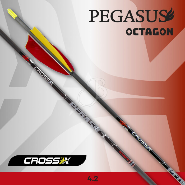 CROSS-X FRECCIA PEGASUS OCTAGON NAT. CROSS-X FRECCIA PEGASUS OCTAGON NAT.