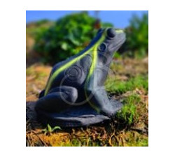3Di 3D TARGET BLACK FROG