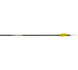CARBON EXPRESS ASTA NANO SST+ PUNTA CROSS