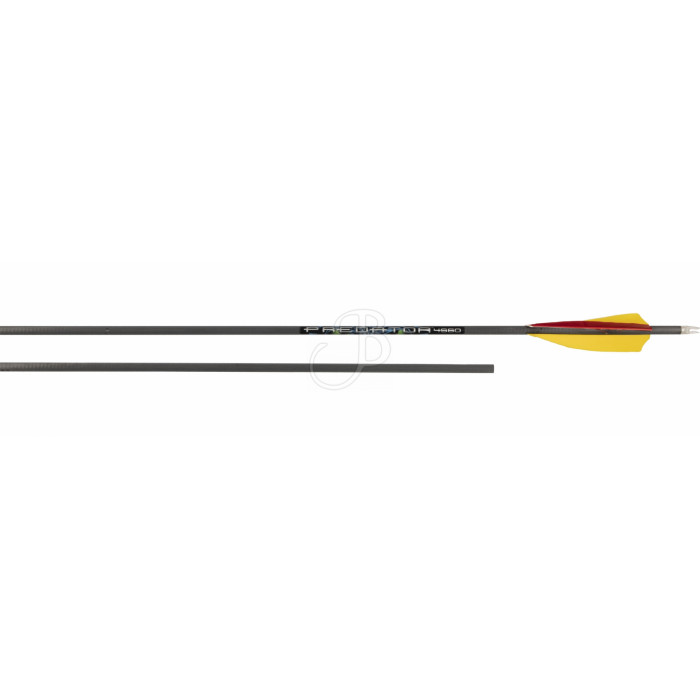 CARBON EXPRESS FRECCIA PREDATOR II NAT. 4560 CARBON EXPRESS FRECCIA PREDATOR II NAT. 4560