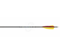 CARBON EXPRESS FLECHE PREDATOR II NAT. 4560