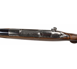 SAUER