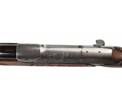 SAUER S202S 270WIN GRAV.DAMWILD