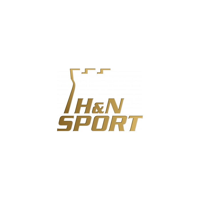 H&N DIABOLO FIELD TARGET TROPHY POWER 4.5-300 H&N DIABOLO FIELD TARGET TROPHY POWER 4.5-300