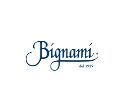 BIGNAMI SERVING/LOOP REPLACEMENT
