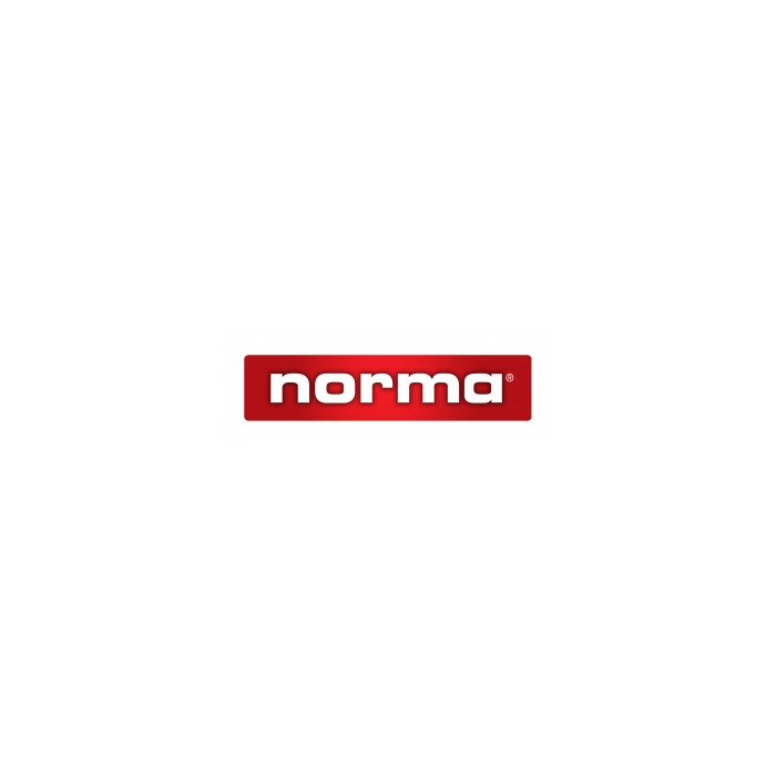 NORMA BOSSOLI