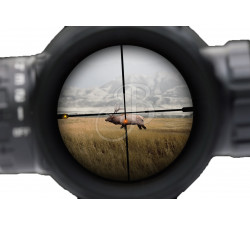 SIG SAUER OPTI .