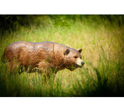 C.POINT SAGOMA 3D GRIZZLY