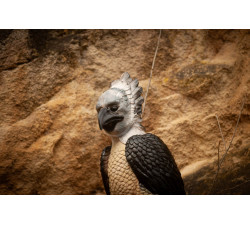 C. POINT 3D TARGET HARPY EAGLE