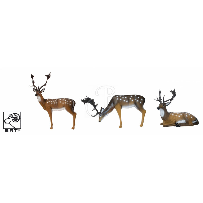 SRT SET 3D TARGET FALLOW DEER SRT SET 3D TARGET FALLOW DEER