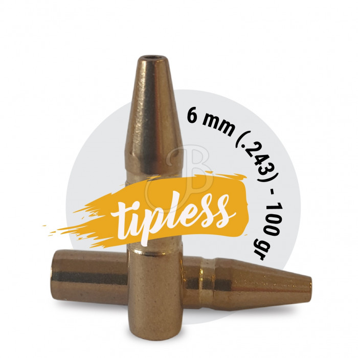 FOX BULLETS BULLET CL. HUNTER 6MM 100 TPL